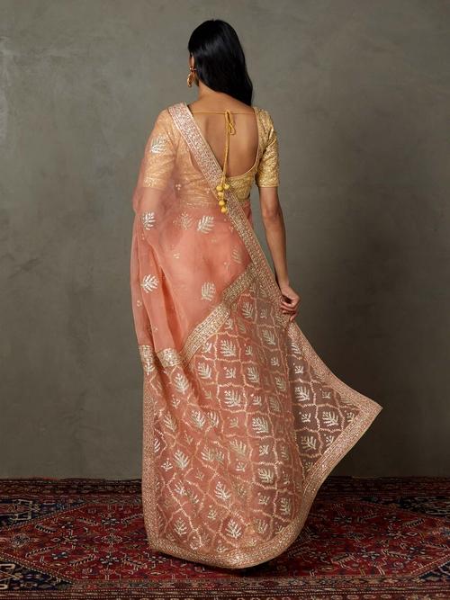 Coral Sterling Saree With Stitched Blouse - Image 4